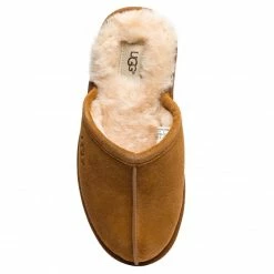 Slippers UGG - M Scuff 1101111 M/Che Brown -Togoshi Sales Store 0000200682235 04 ks