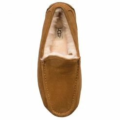 Slippers UGG - M Ascot 1101110 M/Che Brown -Togoshi Sales Store 0000200682273 04 az